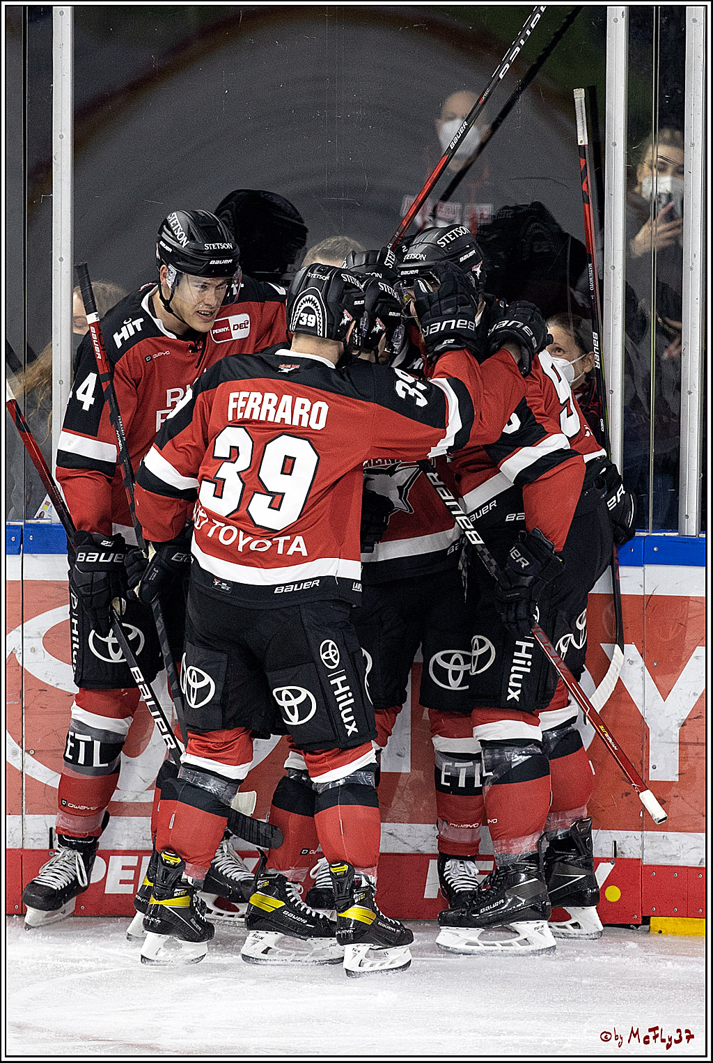 PENNY DEL;  Koelner Haie - Bietigheim Steelers; Koeln, 19.11.2021